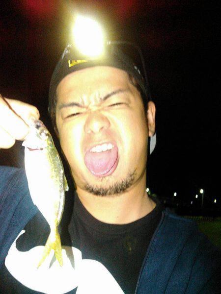 真夜中アジング